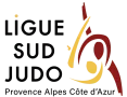 logo ligue sud